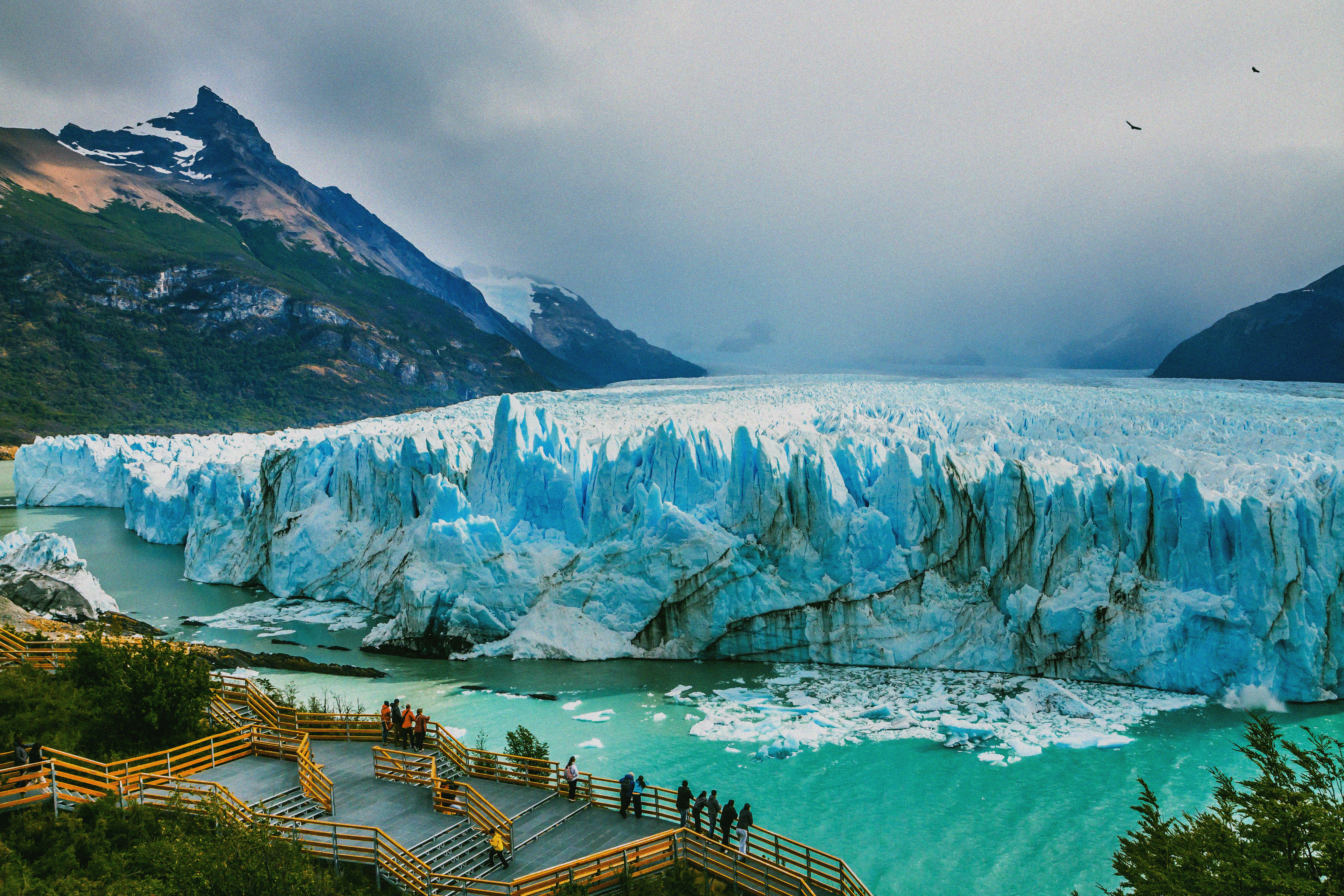 Argentina Grants GI Protection to Scotch Whisky: What It Means for Cask Investors